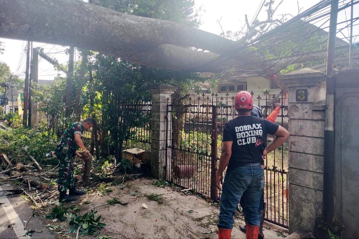 Babinsa Oro-Oro Dowo Evakuasi Pohon Tumbang Menimpa Rumah Jalan Simpang Ijen
