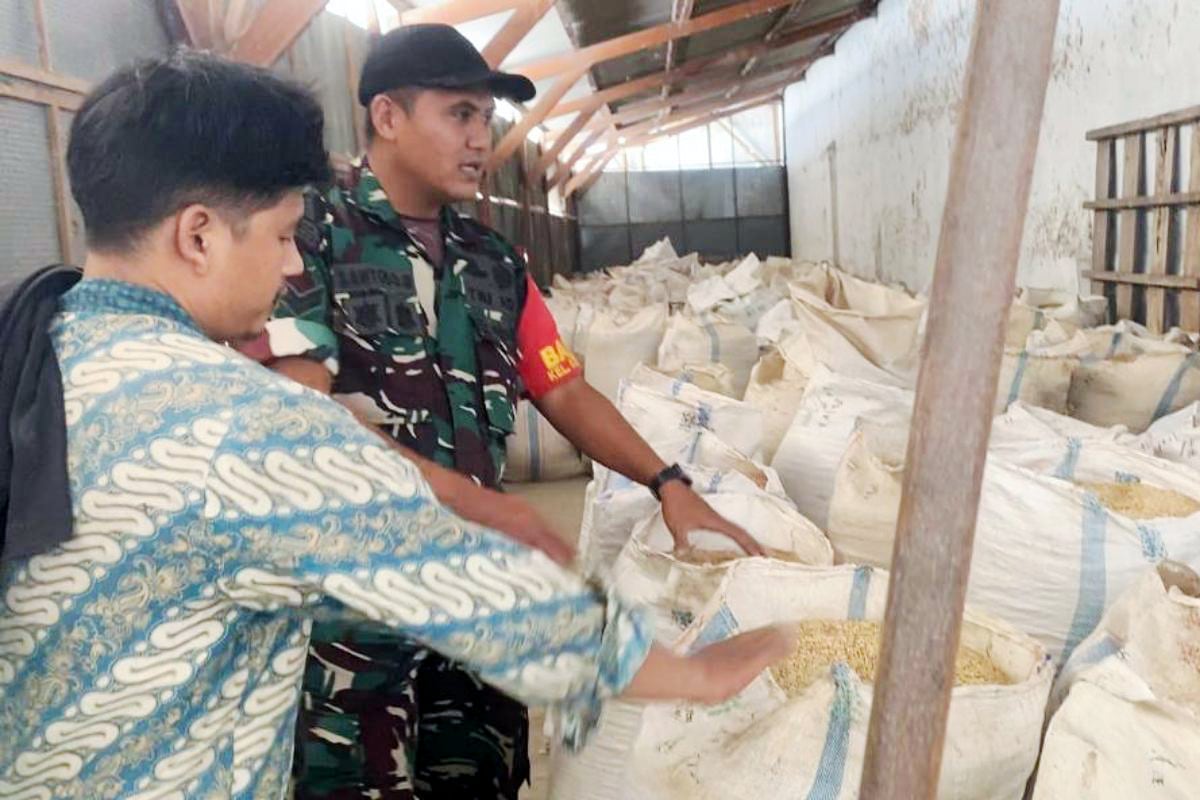 Babinsa Lowokwaru dampingi penggilingan padi UD Maju Berkah. (ist) Babinsa Lowokwaru Dampingi Penggilingan Padi UD Maju Berkah