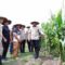 Dukung Swasembada Pangan 2026, Pemkot Batu Ikuti Panen Jagung Serentak Nasional 