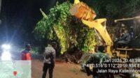 Proses pembersihan material longsor di Kecamatan Kasembon, Kabupaten Malang. (Doc. BPBD Kabupaten Malang) Terjadi Longsor di Kasembon, Aktivitas Jalan Malang-Blitar Terganggu