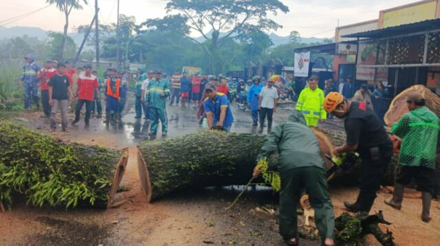 Sepanjang Tahun 2025, Kabupaten Malang Dilanda 435 Bencana Didominasi Gempa Bumi