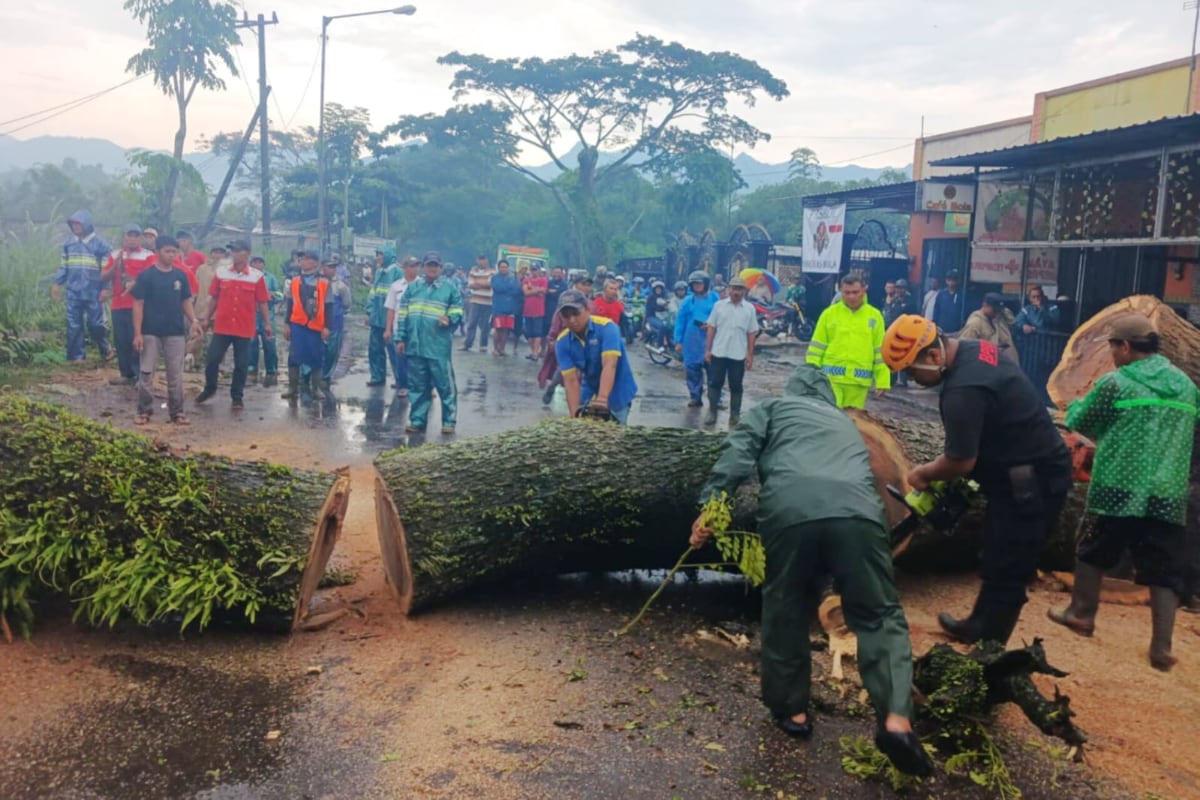 Sepanjang Tahun 2025, Kabupaten Malang Dilanda 435 Bencana Didominasi Gempa Bumi