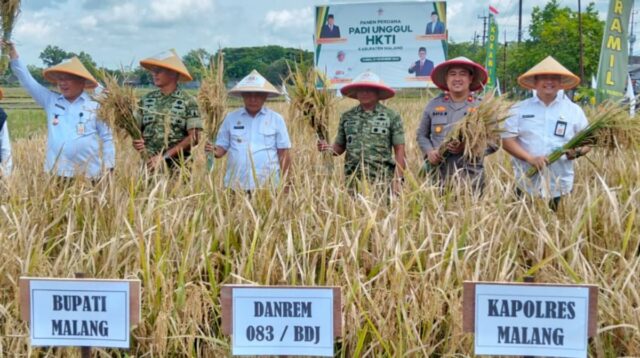 Kuatkan Swasembada Pangan Nasional, Pemkab Malang Gandeng HKTI dan Tanam Bibit Padi Unggul