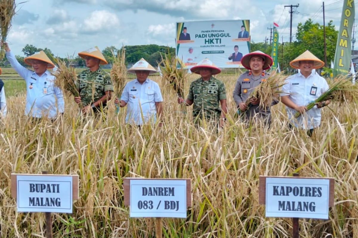 Kuatkan Swasembada Pangan Nasional, Pemkab Malang Gandeng HKTI dan Tanam Bibit Padi Unggul
