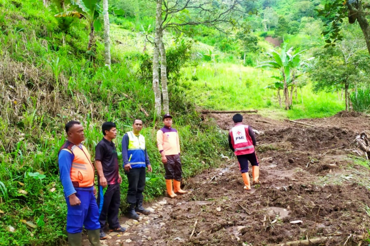 Akses Malang-Pasuruan via Jabung Tertutup Total Tanah Longsor