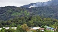 Pesawat Kargo Pelita Air Diduga Jatuh di Krayan, Pilot Selamat Usai Lompat dengan Parasut