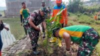 Babinsa Bumiayu Bersama Warga Karya Bakti Mitigasi Bencana dengan Penanaman Pohon