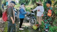 Babinsa Tunggulwulung Komsos Humanis Serap Aspirasi Petani Bersama Penyuluh Pertanian