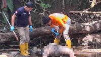 Proses olah TKP 2_11zon (1) Pelaku Pembunuhan Remaja Nganjuk di Jabung Terungkap, Sembunyi di Rumas Kos