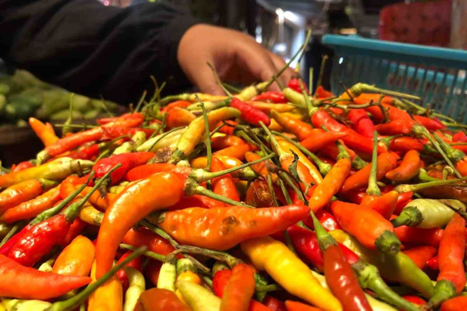 Jelang Ramadan, Harga Cabai dan Telur Naik, Kebutuhan Pokok Lainnya Stabil 2 Jelang Ramadan, Harga Cabai dan Telur Naik, Kebutuhan Pokok Lainnya Stabil