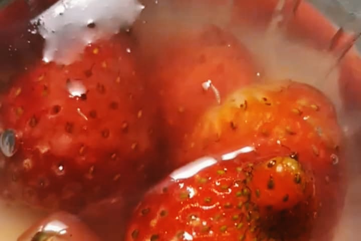Wali Kota Malang Respons Temuan MBG Berbelatung, SPPG Langgar SOP Disanksi 1 Viral menu MBG berupa puding stroberi berbelatung. (ist)
