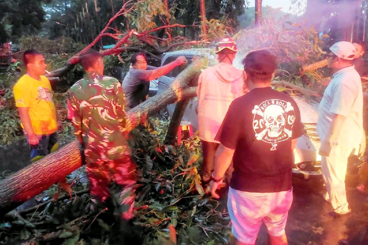 Aksi Cepat Babinsa Blimbing Bersama Warga Evakuasi Pohon Tumbang di Rampal