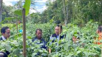 Harga Cabai Telur Daging Meroket Jelang Lebaran, Pemkot Malang Siapkan Skenario Intervensi