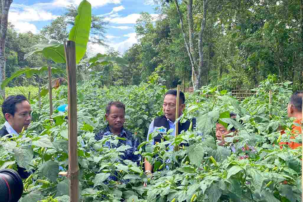 Pemkot Malang_11zon (1) Harga Cabai Telur Daging Meroket Jelang Lebaran, Pemkot Malang Siapkan Skenario Intervensi