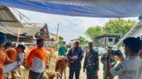Hewan ternak tersebut sebelum diserahkan kepada warga sudah melalui proses tes kesehatan terlebih dahulu. (Seru.co.id/aza) Ratusan Buruh Tani Terdampak Bandara KASA Situbondo Terima Bantuan Sapi dan Domba