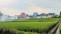 Bapenda Kota Malang Beri Keringanan PBB Lahan Pertanian Hingga 50 Persen, Pengajuan Sampai Akhir April