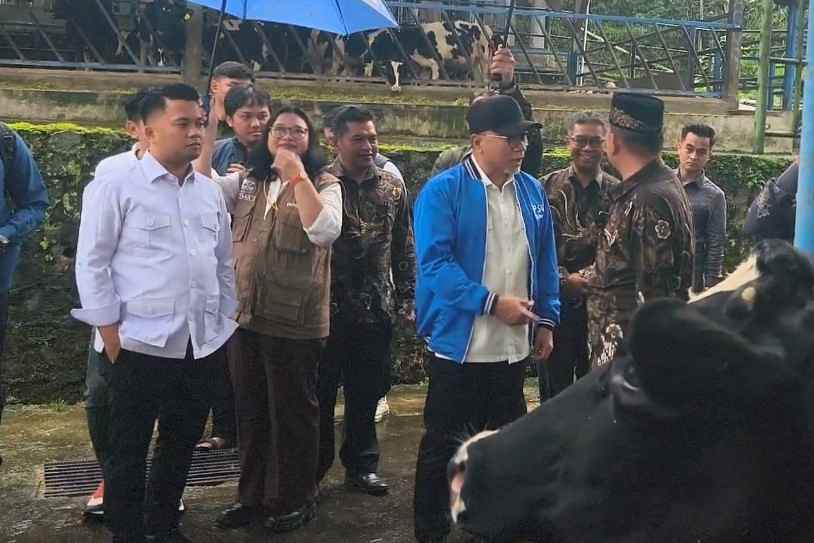 Menko Pangan Dorong Hilirisasi Susu di Koperasi Sae Pujon, Jadi Produk UHT