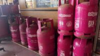 Tumpukan LPG non subsidi di Agen PT. Semangat baru Jaya di Kepanjen. (Wul) Harga LPG Non Subsidi Alami Kenaikan Sekitar 19 Persen