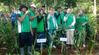 Peringatan Hari Bumi Sedunia, DPC PPP Situbondo Tanam Ribuan Pohon Pulihkan Ekosistem Pascabanjir