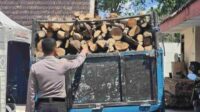 Tertangkap Basah Angkut Kayu Milik Perhutani, Pria Asal Sumawe Diringkus Polisi