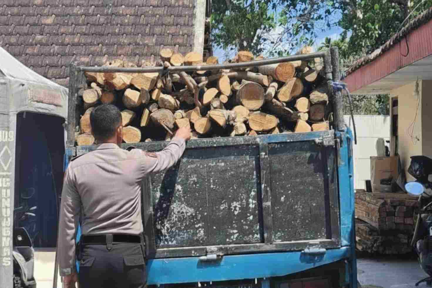 Jati_11zon Tertangkap Basah Angkut Kayu Milik Perhutani, Pria Asal Sumawe Diringkus Polisi