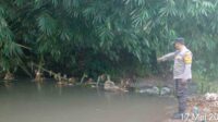 Hilang Tiga Minggu, Seorang Lansia Poncokusumo Ditemukan Meninggal di Sungai