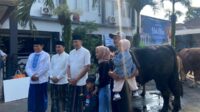 Sapi kurban Presiden Prabowo untuk masyarakat Kota Malang. (ist) Blackjack, Sapi Kurban Presiden Prabowo Diserahkan ke Masjid Sabilillah Malang
