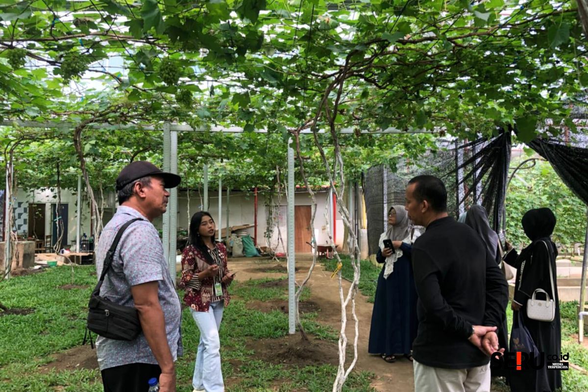Gamma Grape Experience Pakis, Wisata Edukasi 99 Varian Anggur Berpadu Rekreasi di Kabupaten Malang 1 Pemandu wisata Gamma Grape Experience Pakis saat memberikan edukasi terkait anggur kepada para pengunjung. (wul)
