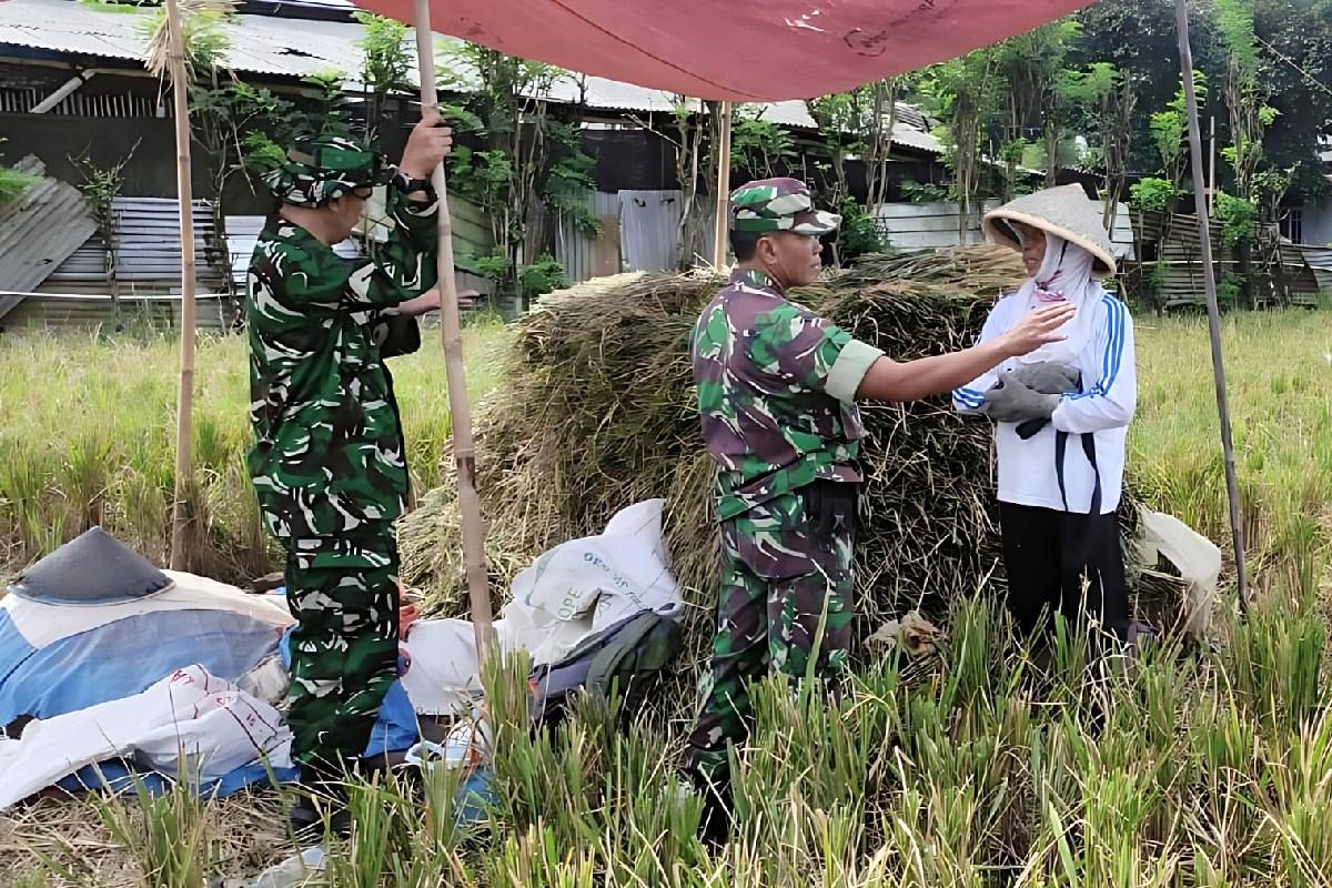 Babinsa Koramil Kedungkandang Komsos Dialogis Bersama Petani Wonokoyo dan Arjowinangun