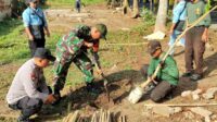 Koramil Kedungkandang Bersama DLH Tanam 100 Pohon Tabebuya Tingkatkan Kualitas RTH