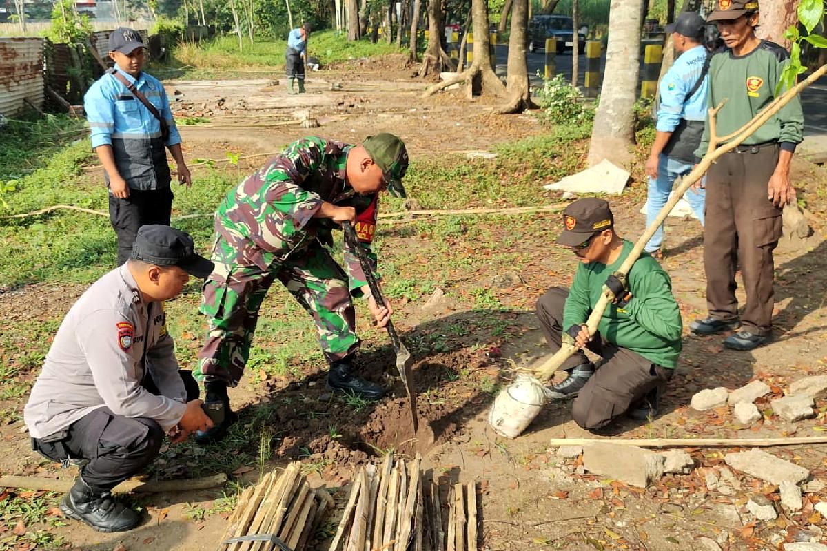 Koramil Kedungkandang Bersama DLH Tanam 100 Pohon Tabebuya Tingkatkan Kualitas RTH
