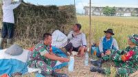 Babinsa Kedungkandang komsos humanis bersama petani Arjowinangun perkuat kedekatan. (is Babinsa Kedungkandang Komsos Humanis Bersama Petani Arjowinangun Perkuat Kedekatan