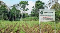 Salah satu aset lahan_11zon 21 Bidang Lahan RTH Kota Malang Terancam Tergerus Pembangunan Koperasi Merah Putih