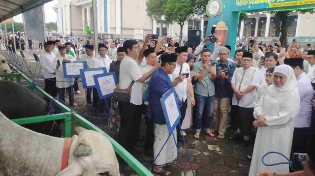 Pemprov Jatim Serahkan Hewan Kurban ke Masjid Al Akbar, Gubernur Khofifah Sebut Penjualan Peternak Meningkat