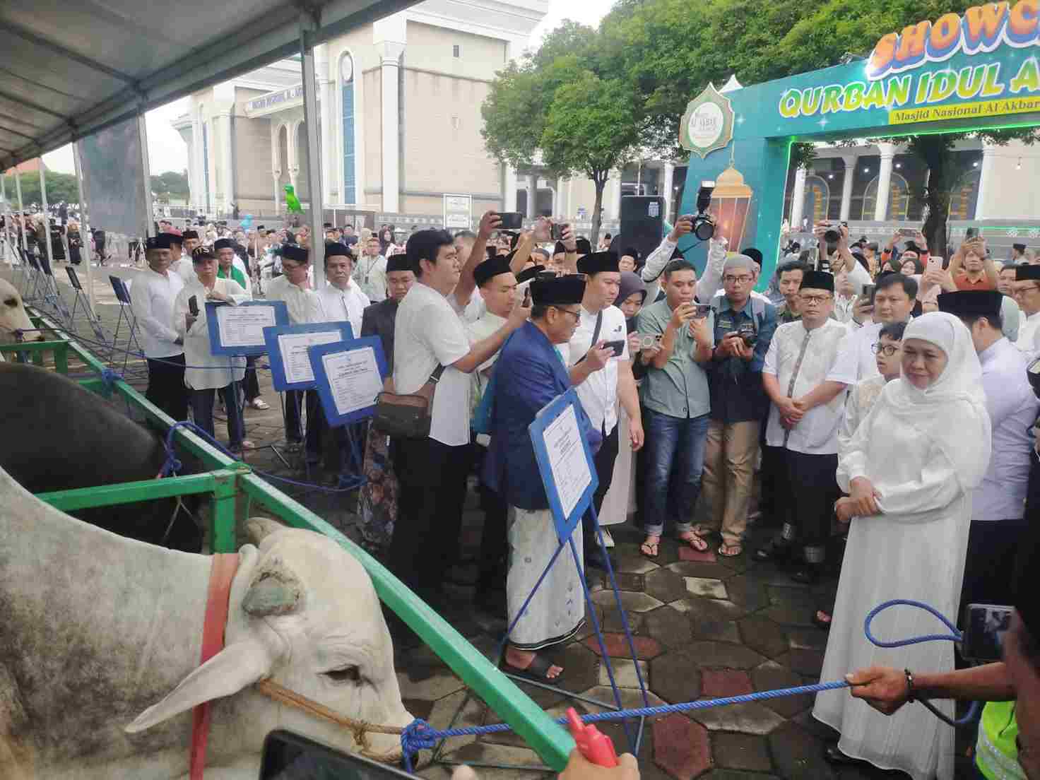 Serahkan Hewan_11zon Pemprov Jatim Serahkan Hewan Kurban ke Masjid Al Akbar, Gubernur Khofifah Sebut Penjualan Peternak Meningkat