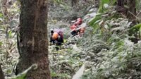 Pendaki Ilegal Gunung Semeru yang Alami Kecelakaan Berhasil Dievakuasi