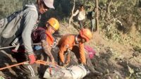 Tiga Pendaki Ilegal Gunung Semeru Berhasil Dievakuasi dengan Selamat