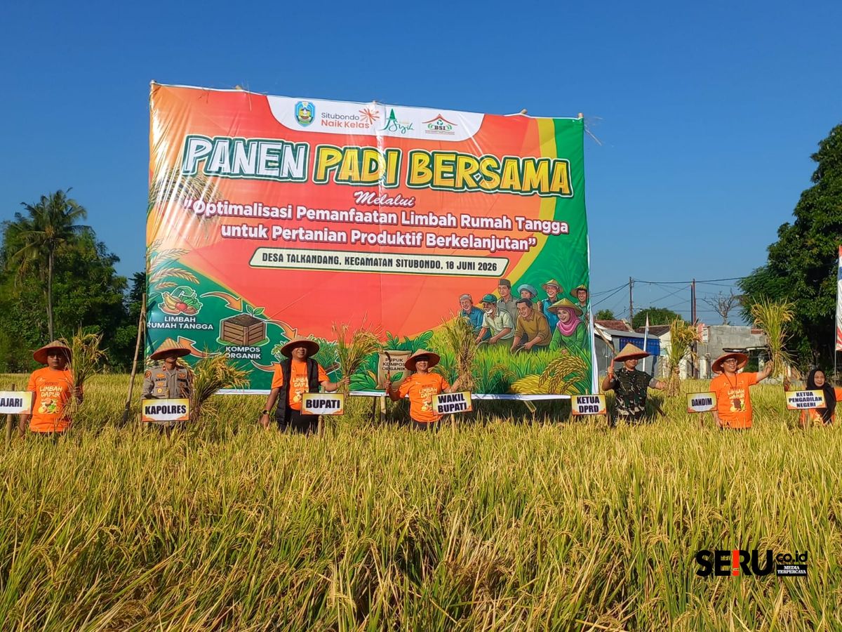 Langkah masif ini diharapkan mampu mendukung target swasembada 500 ribu ton Kabupaten Situbondo pada tahun 2026. (Seru.co.id/aza) Petani Situbondo Gunakan Pupuk Limbah Dapur, Panen Padi Tembus 9,1 Ton Per Hektar
