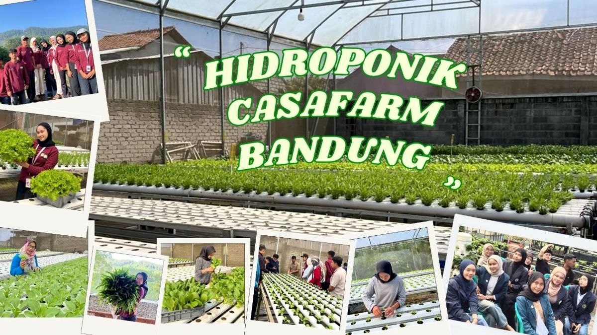 Gandeng Mahasiswa PSDKU Universitas Brawijaya Kediri, Casa Farm Bandung Optimalkan Pertanian Modern Melalui Teknologi Hidroponik dan Digital Marketing