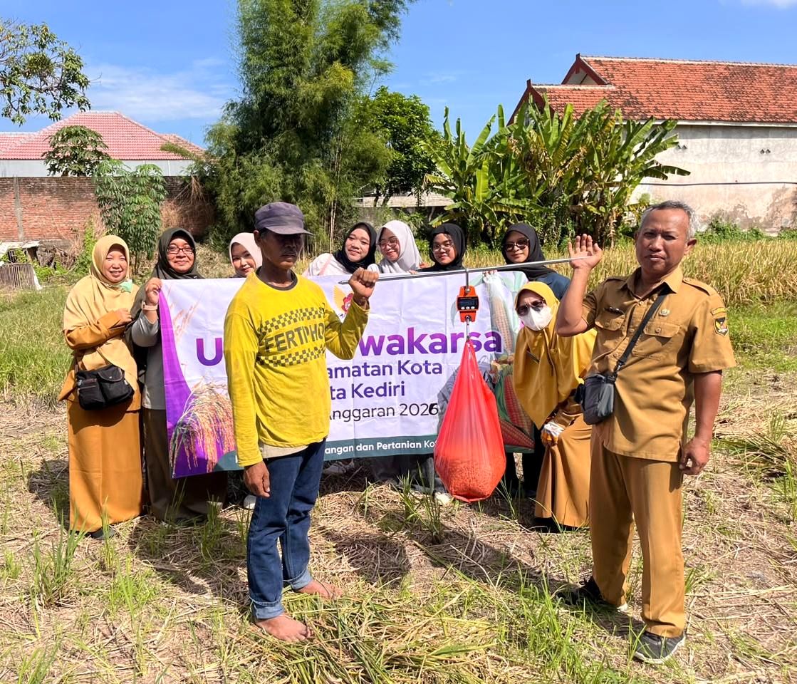 Pengukuran Produktivitas Padi Melalui Ubinan oleh Mahasiswa MBKM PSDKU Universitas Brawijaya Kediri Bersama DKPP Kota Kediri di Kelurahan Balowerti dan Dandangan