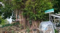 menambah RTH baru ok_11zon Tambah RTH, Kota Malang Bakal Punya Taman Baru di Jalan Bondowoso