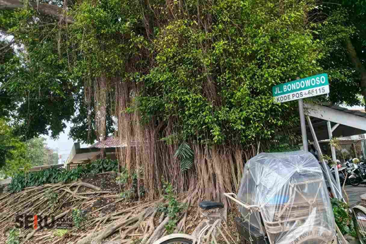 menambah RTH baru ok_11zon Tambah RTH, Kota Malang Bakal Punya Taman Baru di Jalan Bondowoso