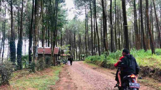 Proses Verifikasi Administrasi Pelepasan Lahan Kawasan Hutan di Kabupaten Malang akan Dilakukan Agustus 2026