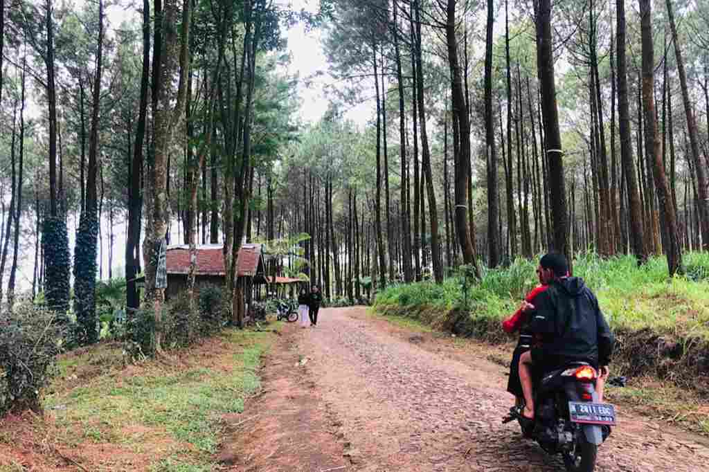 Ilustrasi kawasan hutan di Kabupaten Malang. (Wul)_11zon Proses Verifikasi Administrasi Pelepasan Lahan Kawasan Hutan di Kabupaten Malang akan Dilakukan Agustus 2026