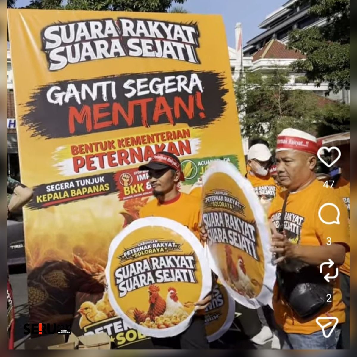 Protes Harga Anjlok, Peternak Ayam 'Mandi Telur' dan Bagi Hasil Ternak