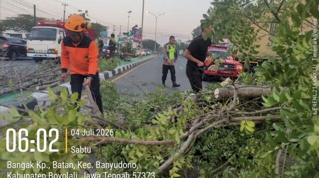 Truk Trailer Ringsek Tertimpa Pohon Tumbang di Jalur Semarang-Solo Boyolali
