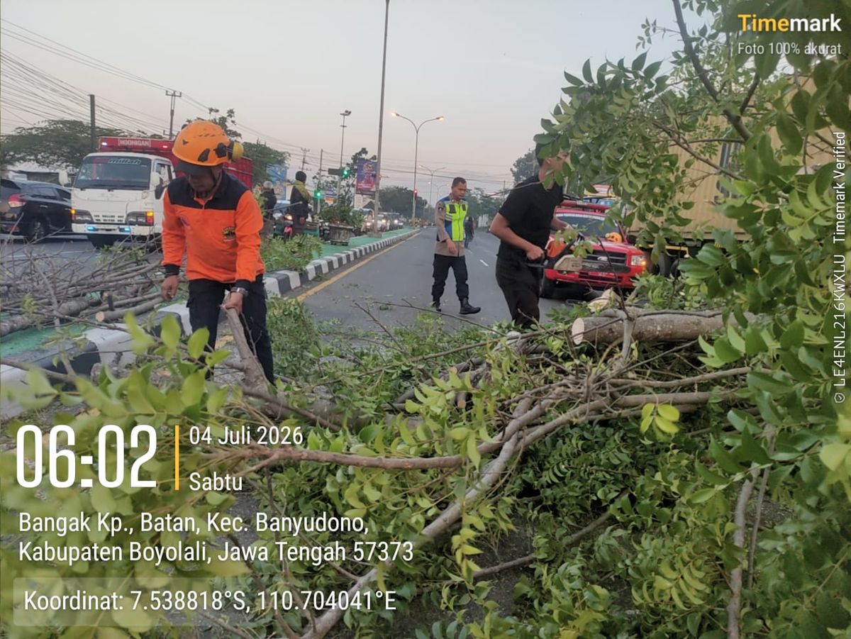 Tim Reaksi Cepat BPBD Boyolali bersama petugas Polsek Banyudono, perwakilan PT Solo Murni, warga setempat, dan relawan turun ke lokasi untuk melakukan penanganan.(Seru.co.id/Ist.) Truk Trailer Ringsek Tertimpa Pohon Tumbang di Jalur Semarang-Solo Boyolali