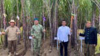 Hadiri Panen Raya Tebu di Jember, KASAU Dukung Target Swasembada Gula