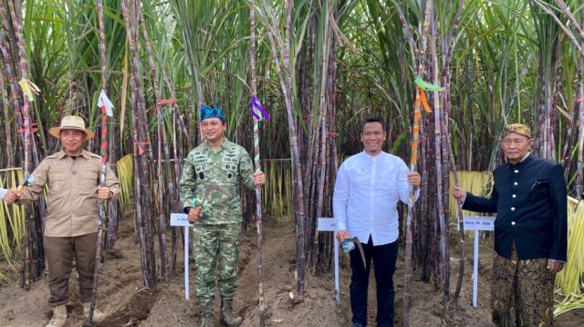 Hadiri Panen Raya Tebu di Jember, KASAU Dukung Target Swasembada Gula
