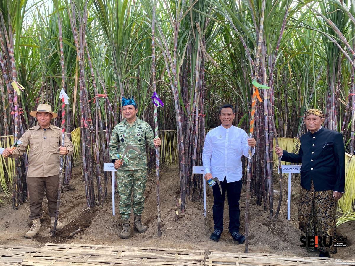 KASAU (memakai baju TNI) saat menghadiri panen raya tebu di Jember. (Seru.co.id/sgt) Hadiri Panen Raya Tebu di Jember, KASAU Dukung Target Swasembada Gula